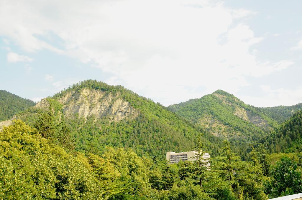 Alma-Ata Hotel Borjomi Eksteriør billede